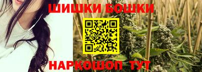 индика Аргун