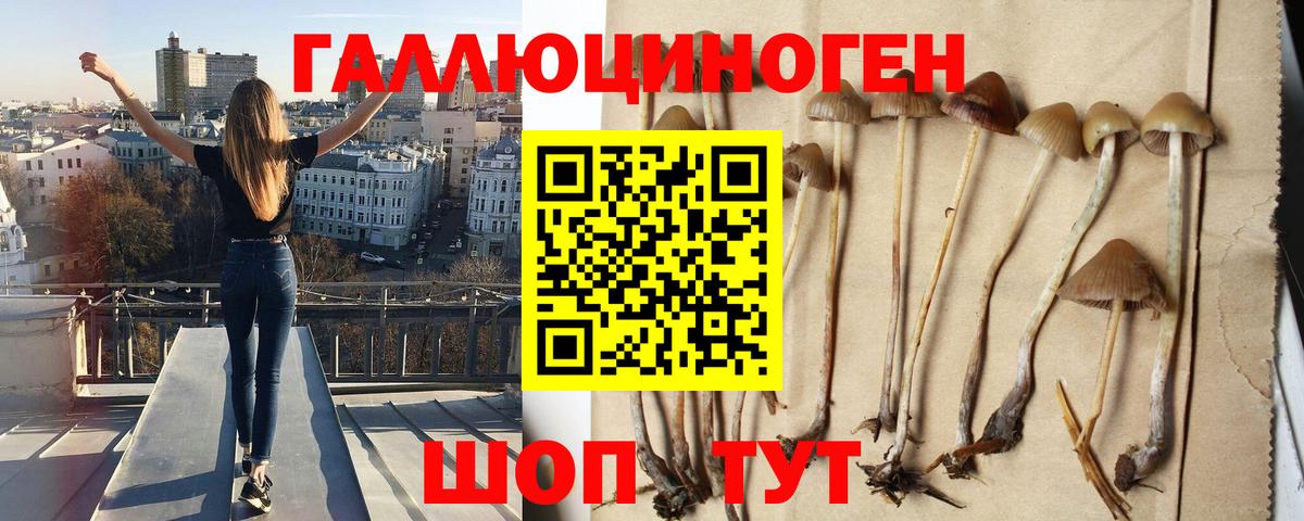 Галлюциногенные грибы прущие грибы Богородицк