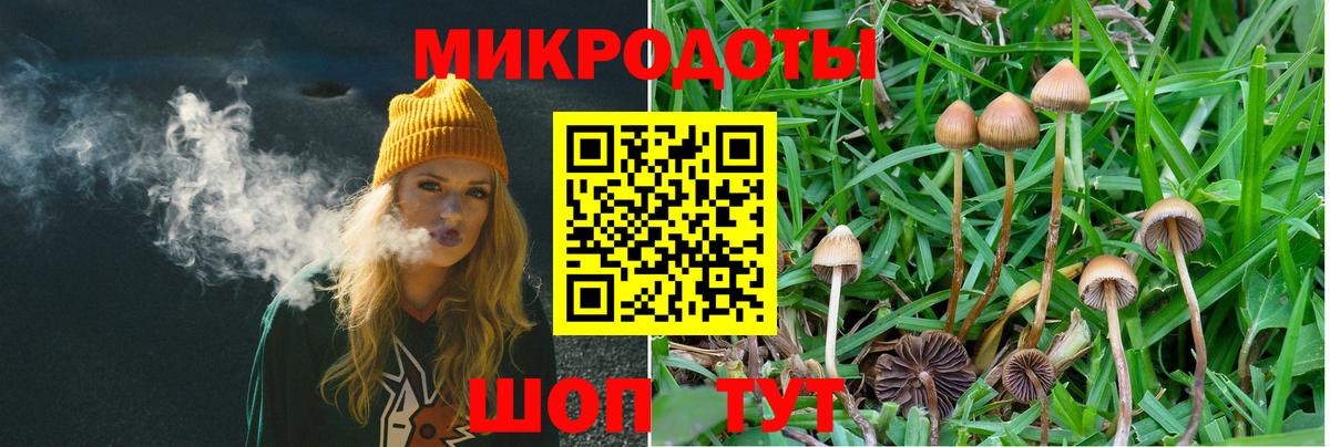 Богородицк  Псилоцибиновые грибы ЛСД  где купить наркоту  Псилоцибиновые грибы MAGIC MUSHROOMS  Вход с VPN 